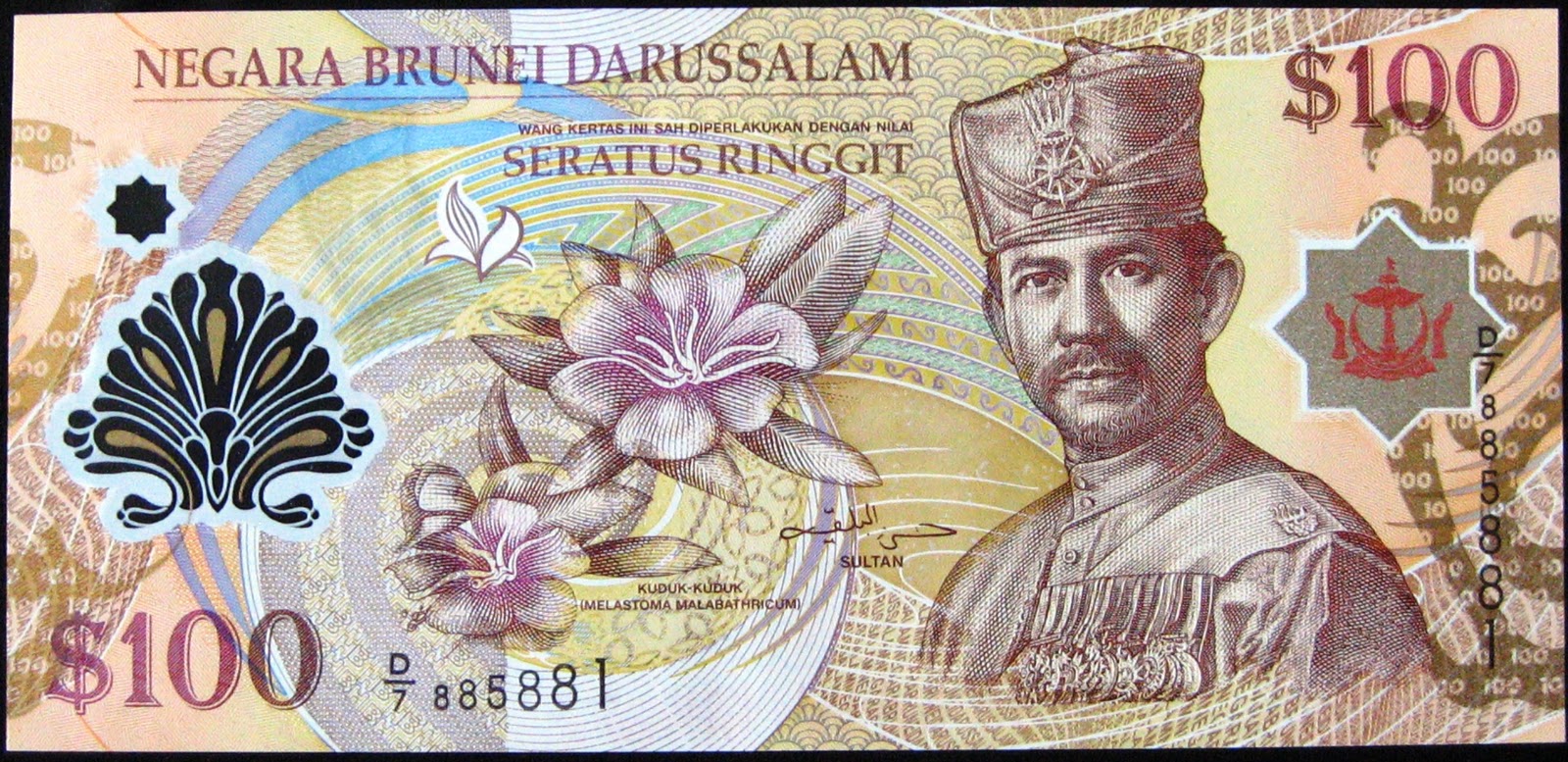 Brunei dollarone hundred dollars five hundred dollars ...