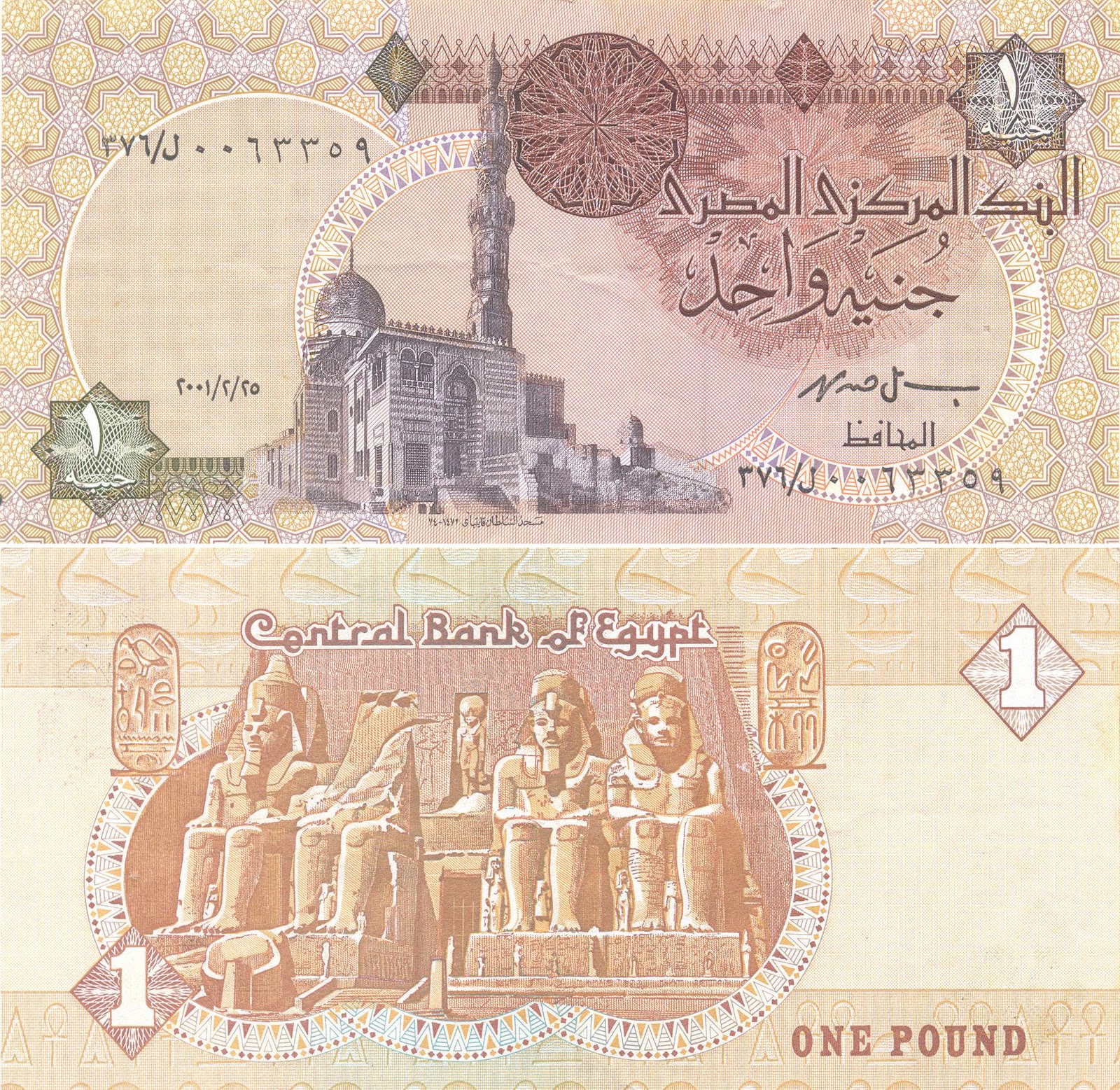 Egyptian poundJamila's Coins and Notes Collection