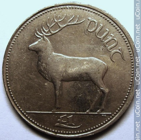 Irish pound?(punt?in Irish language)ireland_1_irish_pound_1995.jpg