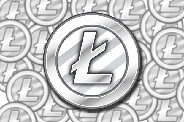 LitecoinMeet Litecoin, Bitcoin's little brother